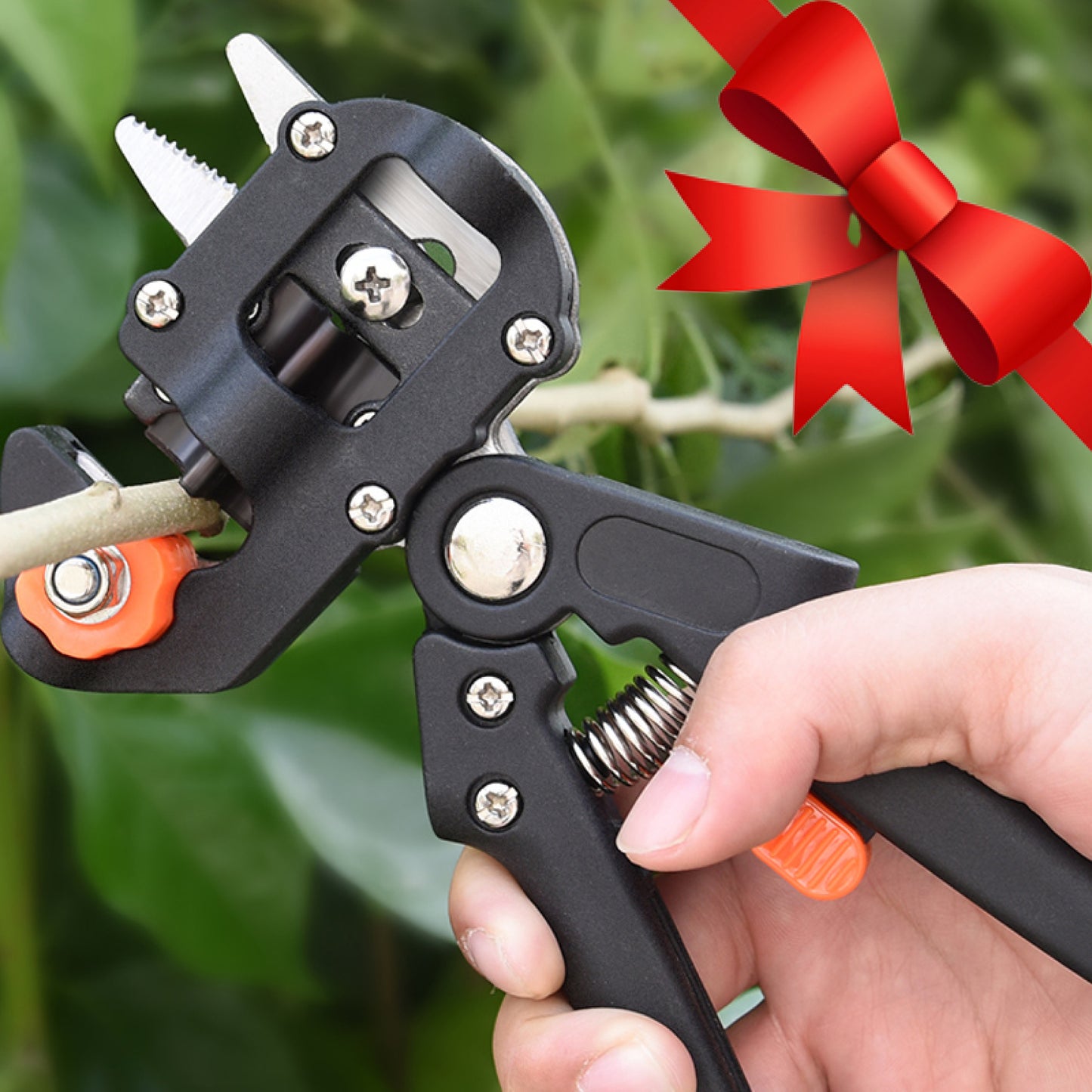 Ciseaux de greffage d'arbre fruitier