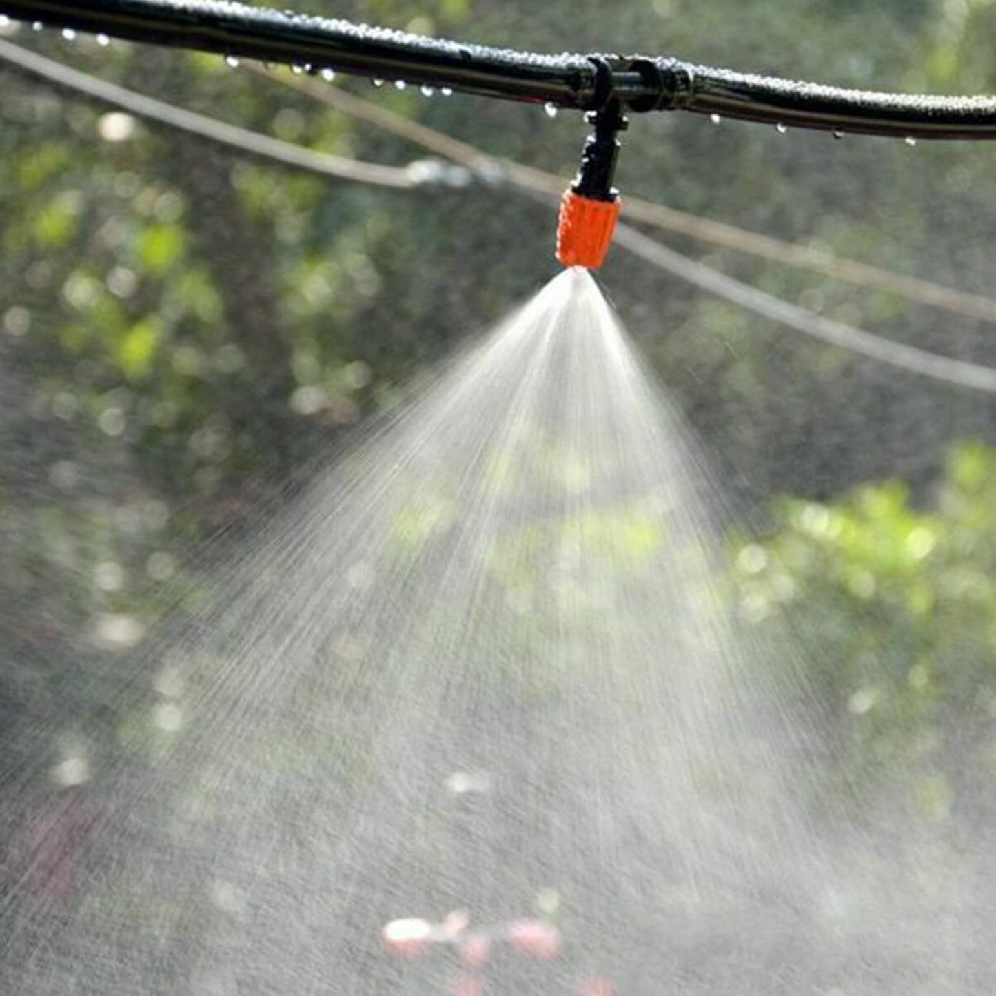 Système d'Irrigation Goutte à Goutte Automatique